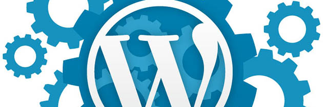 How to Make a Professional WordPress Website and Blog